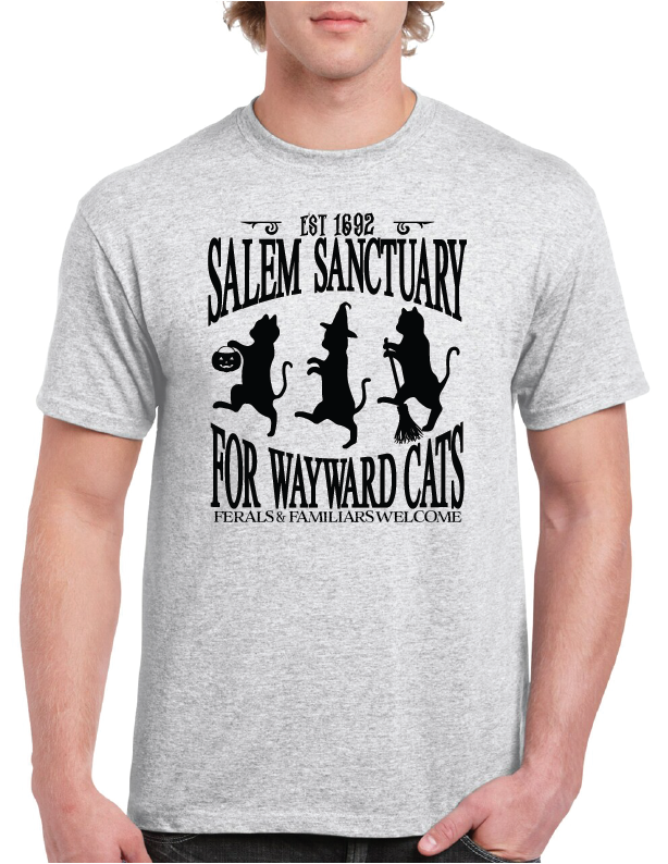 SANCTUARY T-SHIRT