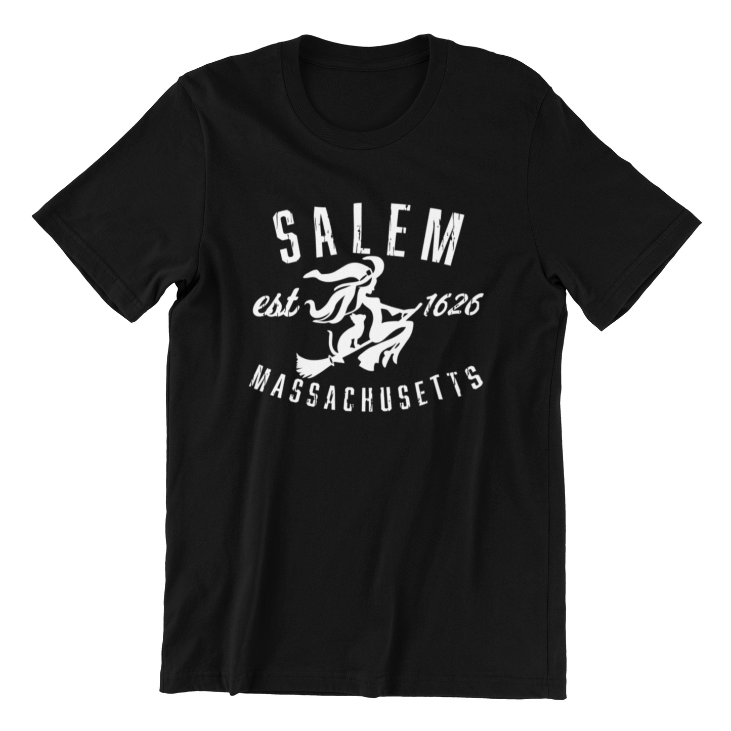 WITCH ON BROOM SALEM
